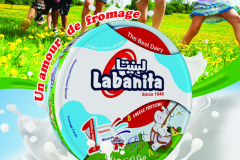 affiche-labanita-a4